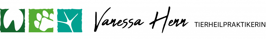 Vanessa Henn – Tierheilpraktikerin